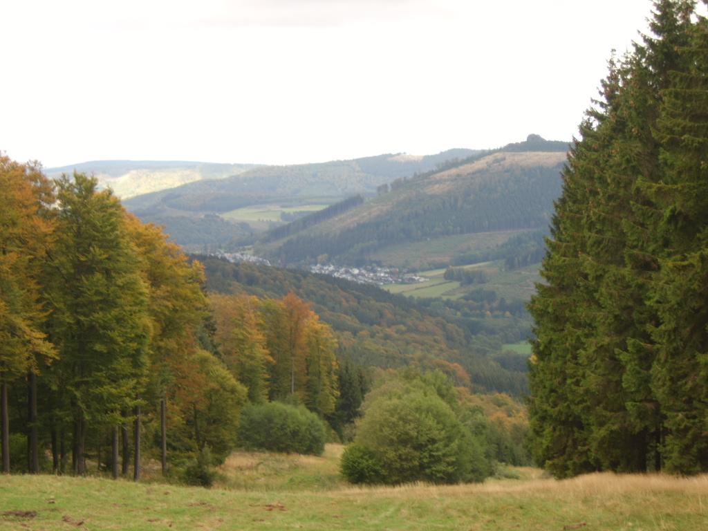Haus Cristallo Olsberg Extérieur photo